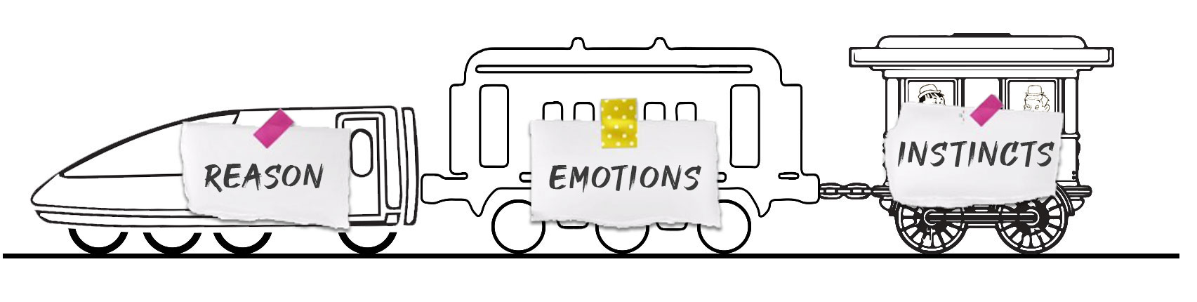the train BRAIN